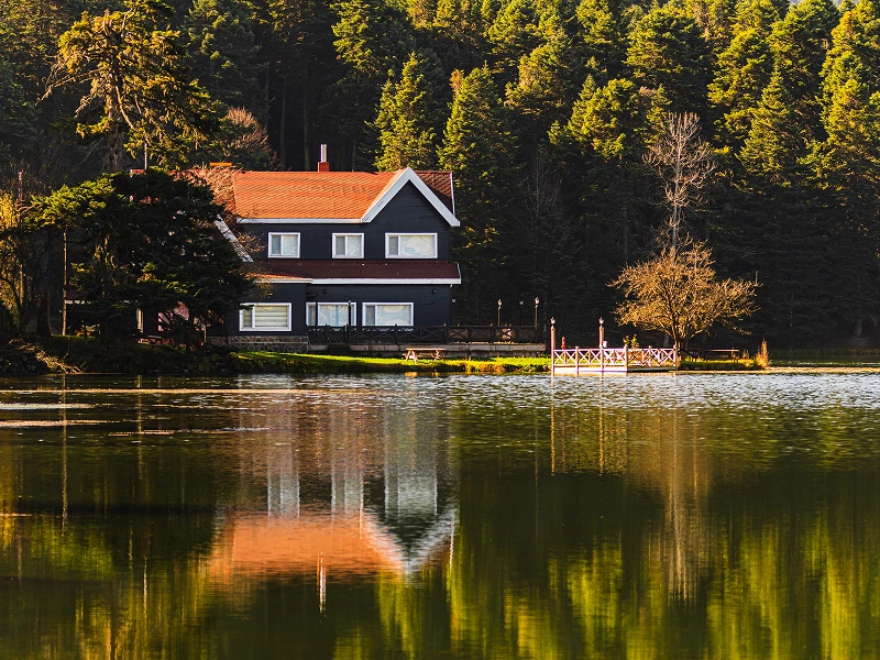 Lakefront & Waterfront